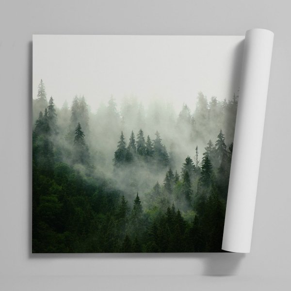 tapeta mgła nad lasem